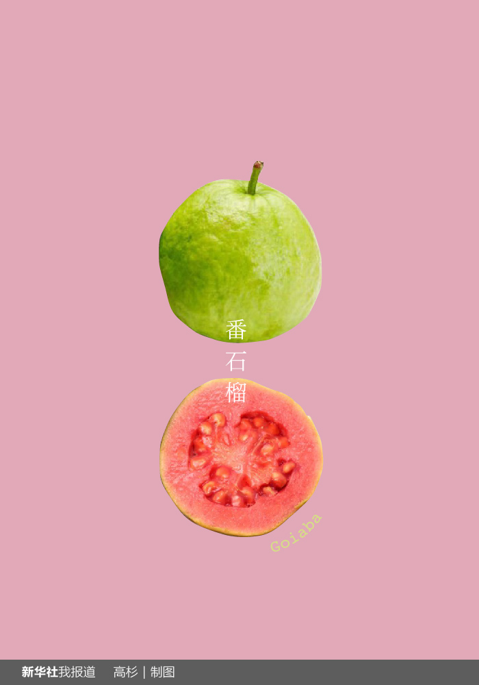 “瘋狂水果城”里約：給你點(diǎn)顏色瞧瞧！