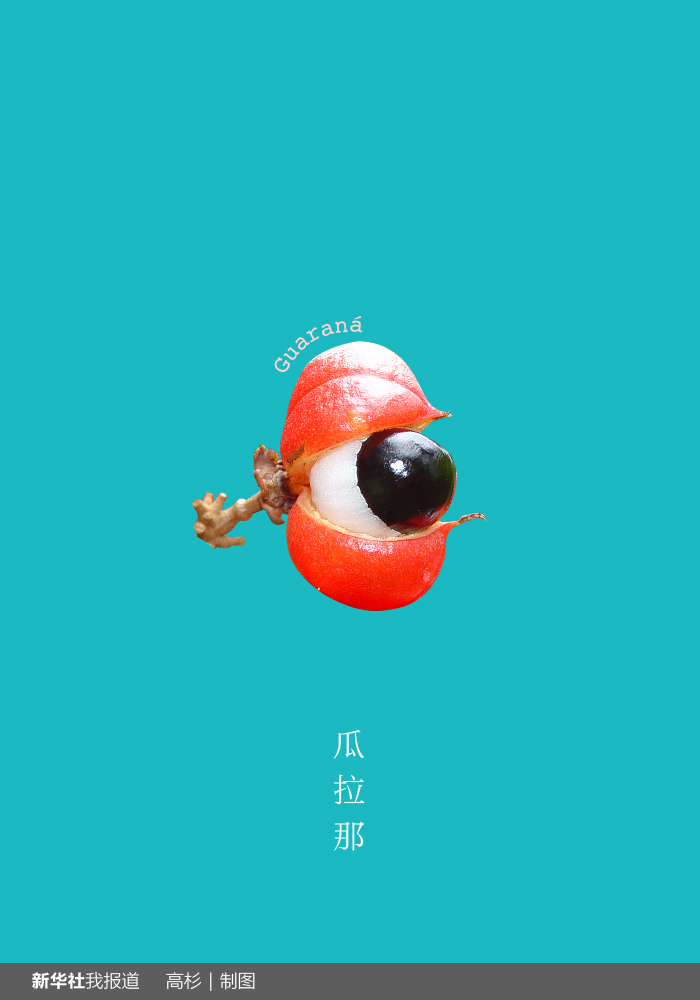 “瘋狂水果城”里約：給你點顏色瞧瞧！