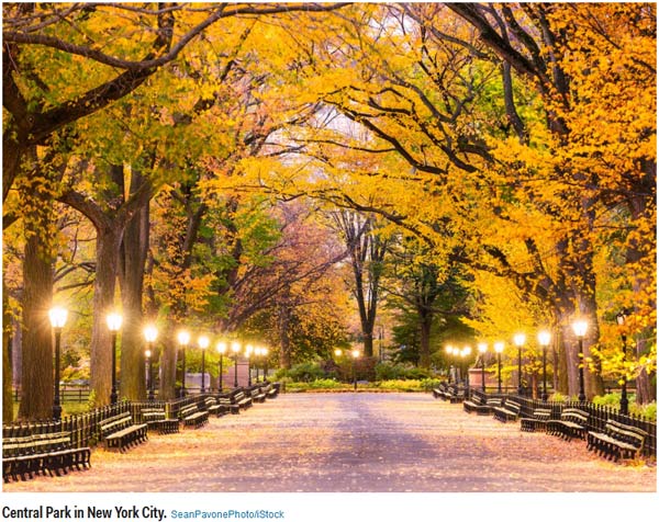 2017年游客最愛去的20個城市(組圖)