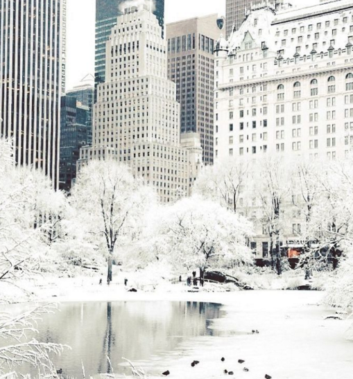 北半球的大雪，你來得太猛烈