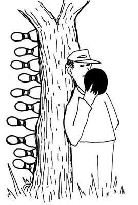 山毛櫸最后的時光