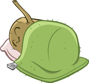 “sleep”的習慣用語