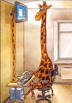 Stick one's neck out 冒險