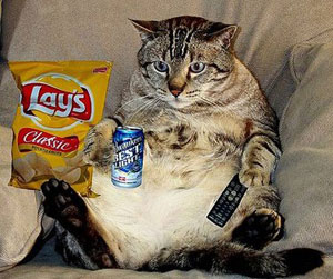 “宅男/宅女”英語(yǔ)怎么說(shuō)?