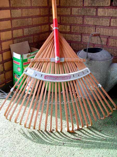 日常會(huì)話:Yard Work