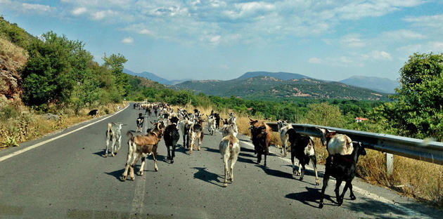 世界十大奇葩駕駛法規