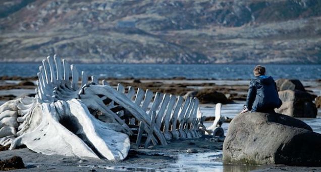 2014戛納電影節：十大不可錯過佳片