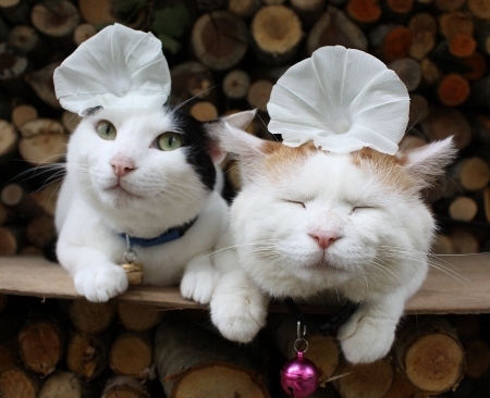 24個(gè)超級(jí)爆笑離奇的英語(yǔ)怪詞