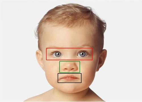 “可愛回應”不只屬于成年人！