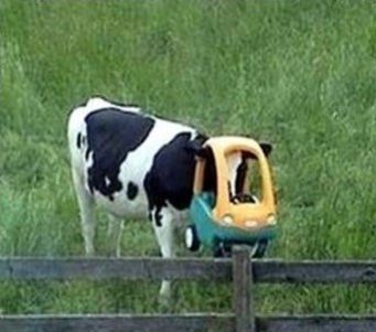 源自莎士比亞作品的10個(gè)常用短語