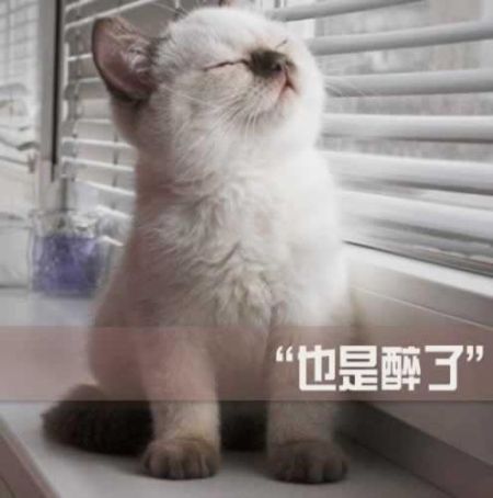 2014網(wǎng)絡(luò)流行語(yǔ)大盤點(diǎn) 且行且珍惜