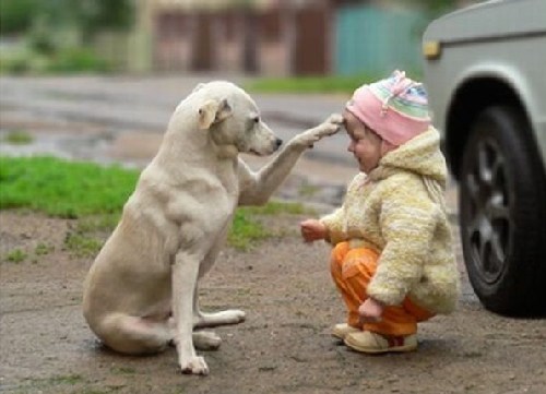 小伙伴難過時，你知道如何用英語安慰ta嗎?