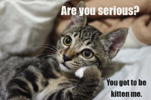 歪果仁怎樣說“此話當真”?