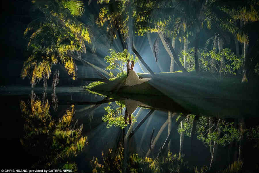 2014全球最佳婚禮照 創意無限極致浪漫