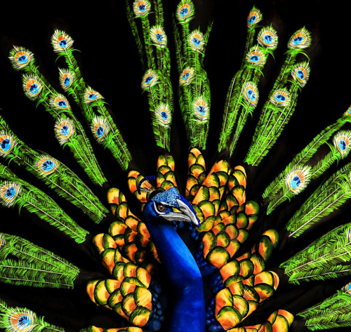 英藝術家創作人體彩繪 以鳥喻人栩栩如生