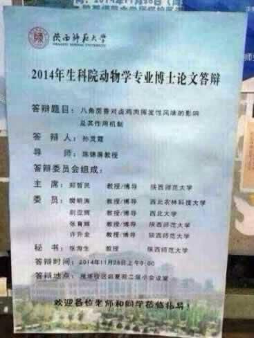 最牛吃貨:女博士8萬字論八角對鹵雞肉影響