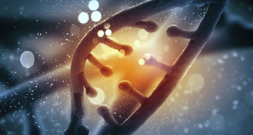 英將用“基因剪刀”技術發展新藥