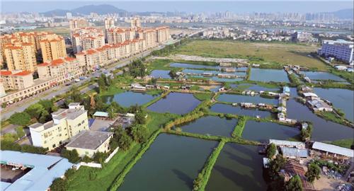 中央一號文件關注城鄉(xiāng)一體化