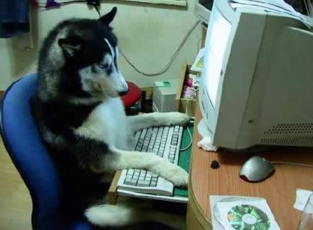 國家網信辦整治婚戀網站亂象