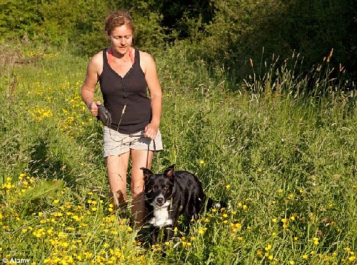 富豪必備新品:狗保姆和社交媒體經理