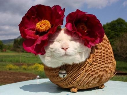 從A到Z 26個奇葩英文單詞 你認識幾個?