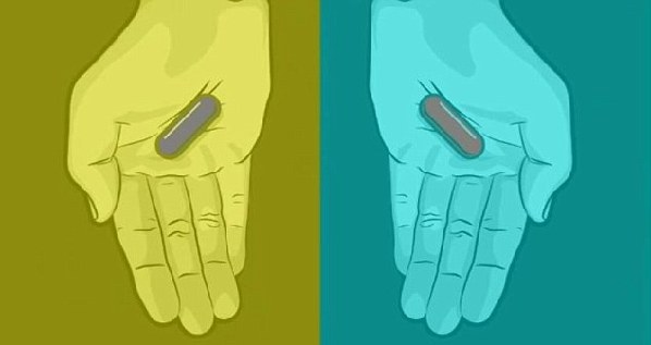 你的色覺(jué)夠好嗎?新應(yīng)用測(cè)你的辨色力