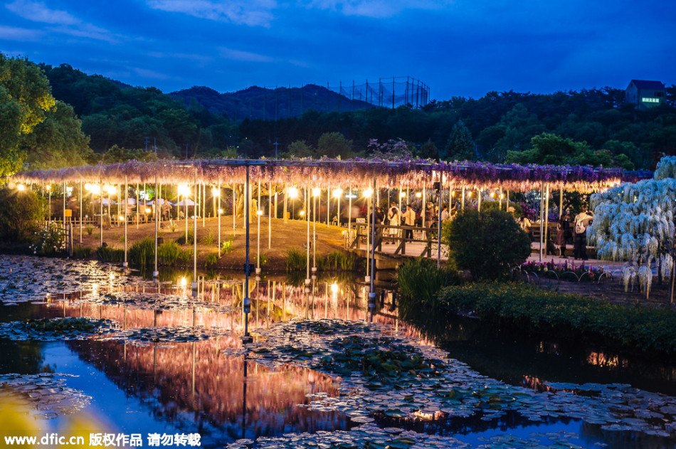 現實版《阿凡達》靈魂樹花開