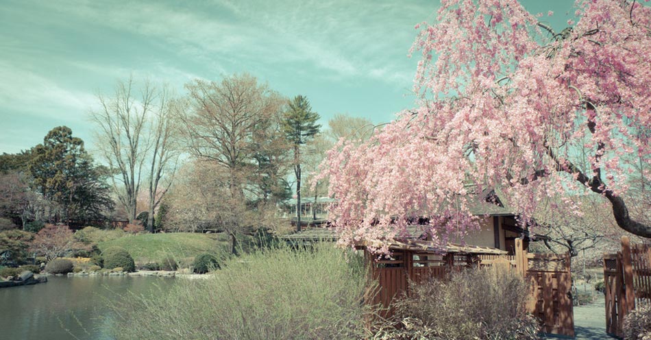繽紛、靈動、斑斕:世界上最美的18座花園