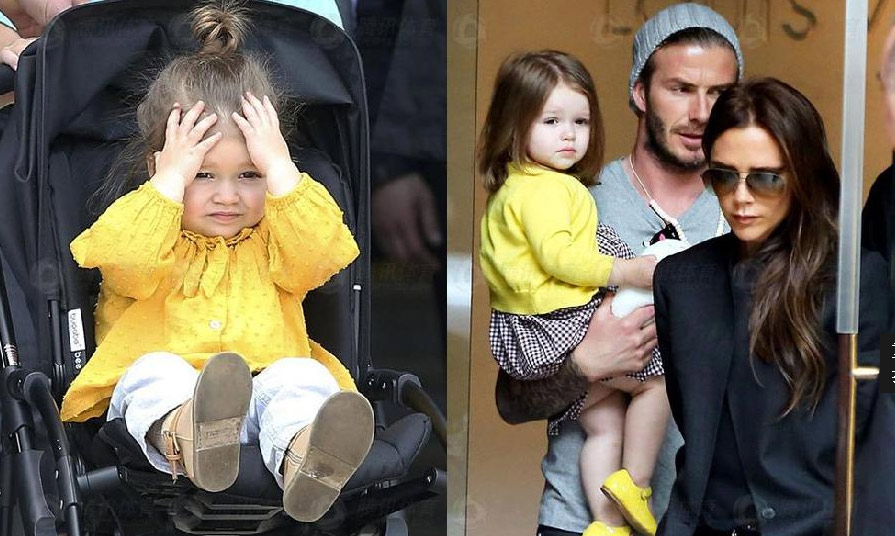 體壇“萌物”！那些我們看著長大的星二代