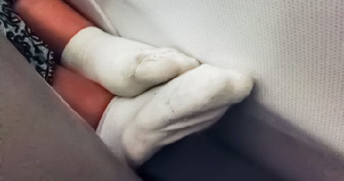 給15A座乘客的一封信