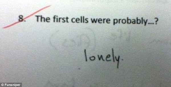 熊孩子在考卷上的機智回答