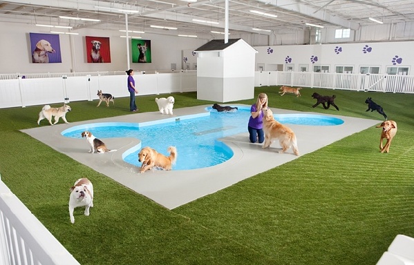 美機場造世界首個寵物航站樓