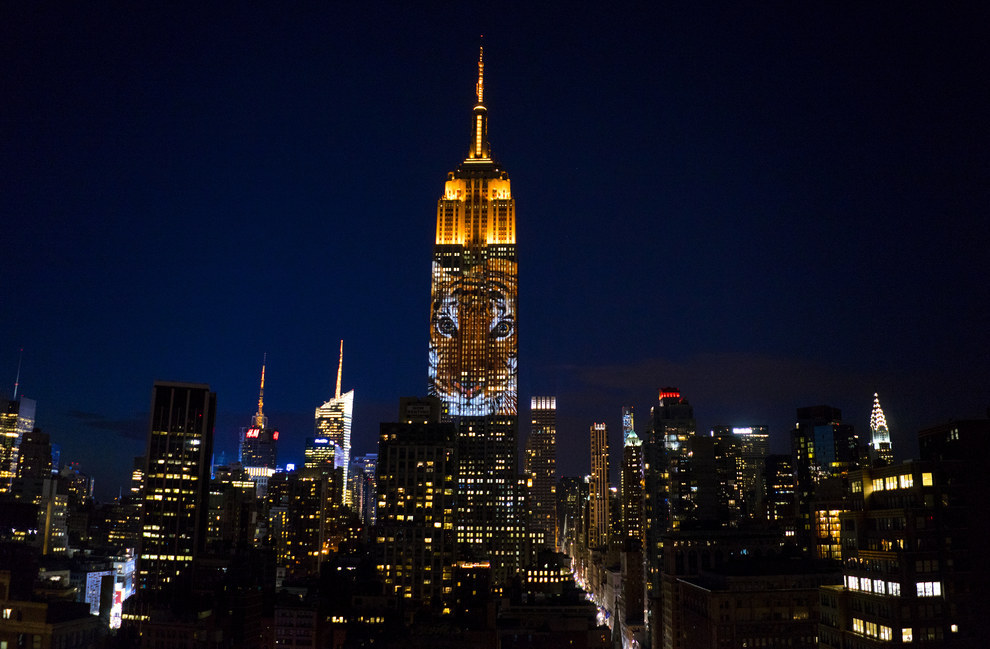 帝國大廈現(xiàn)瀕危動物巨幅投影