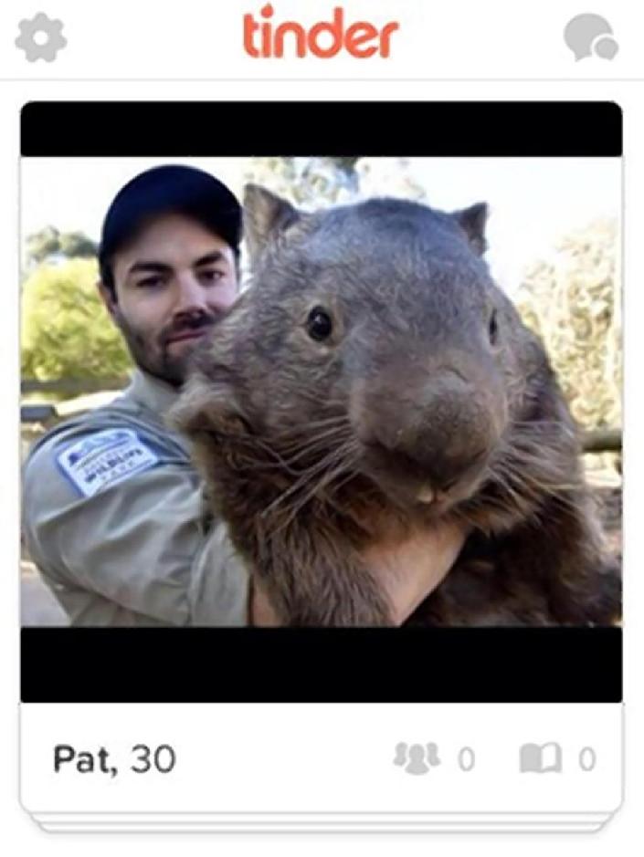 袋熊界剩男欲借約會app脫單