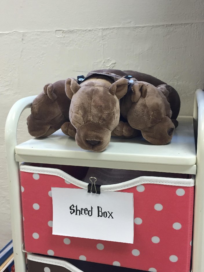 別人家的老師:為學生打造哈利波特主題教室