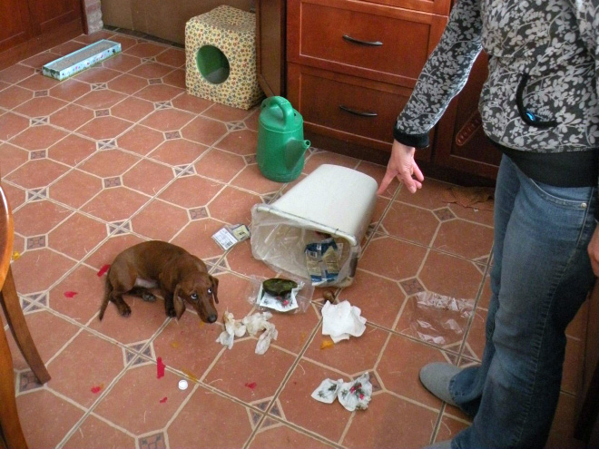 英文如何表達(dá)各種無奈？