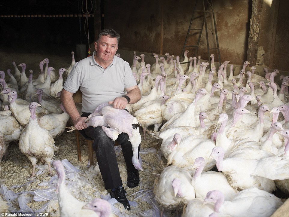 吉尼斯2016最新紀錄集錦