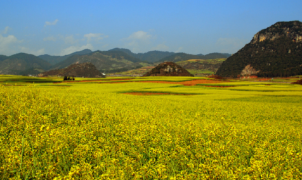 京津冀聯建農田景觀游