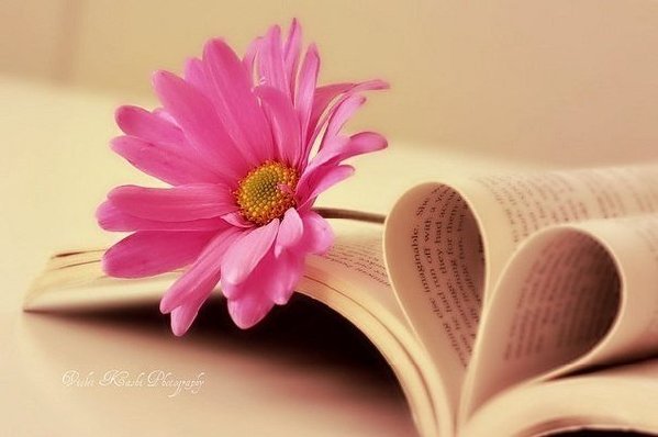 幫你找到生活意義的4本好書