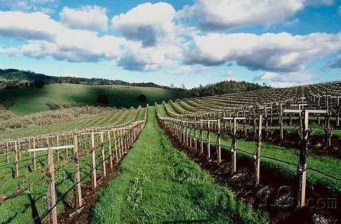 “十二五”開(kāi)創(chuàng)“三農(nóng)”發(fā)展新格局