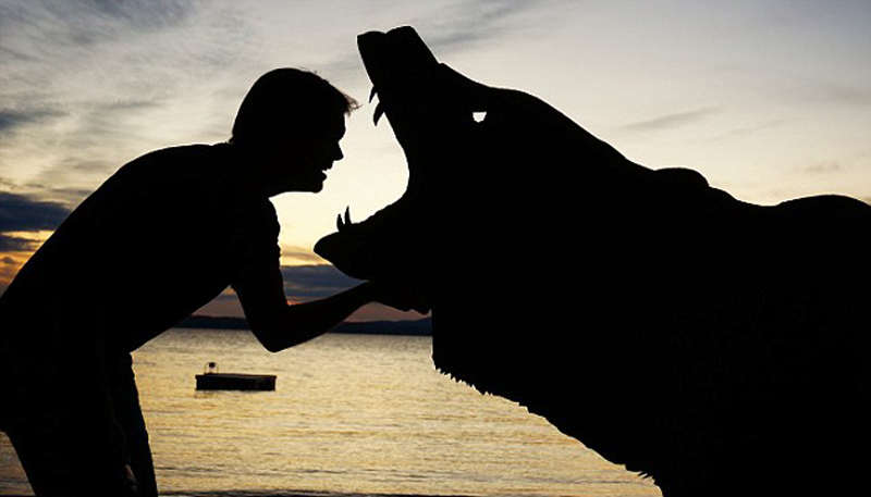 紙板加夕陽 美國藝術家創(chuàng)作趣味剪影