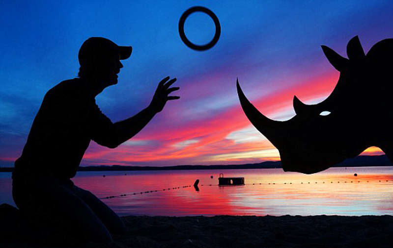 紙板加夕陽 美國藝術家創作趣味剪影