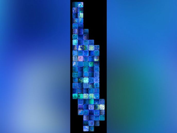 科學家的另類藝術:細菌作畫