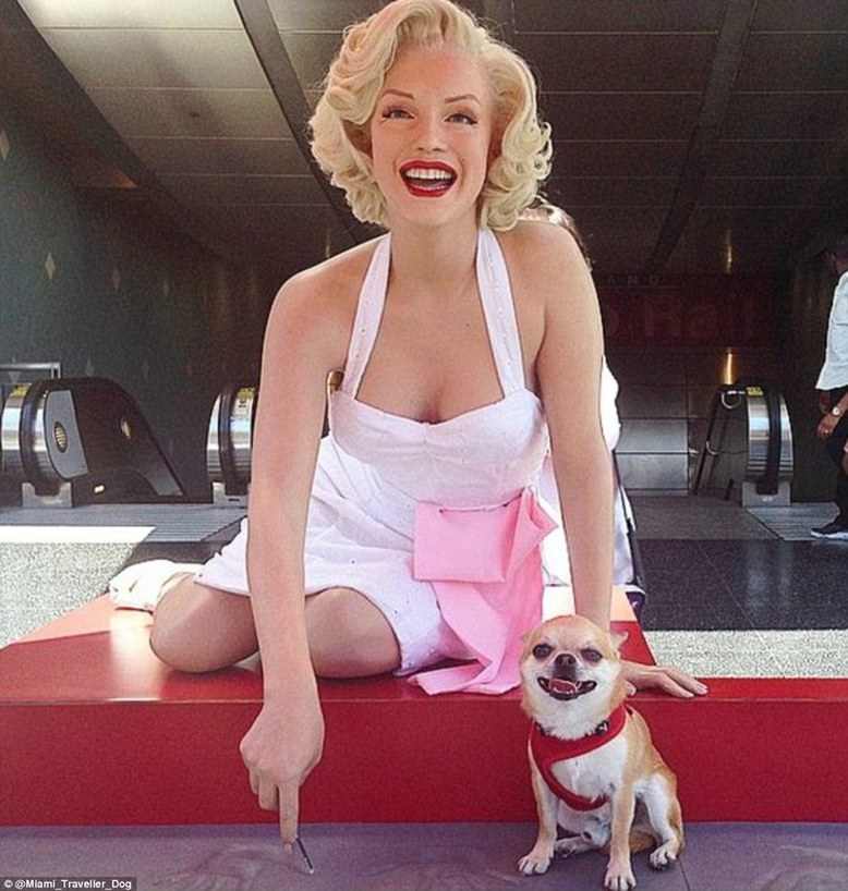 周游世界的汪星人，你羨慕嗎？