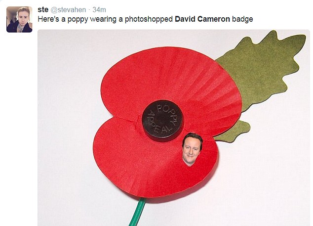 卡梅倫臉書頭像P假花被抓包 網(wǎng)友爭(zhēng)相惡搞玩壞罌粟花