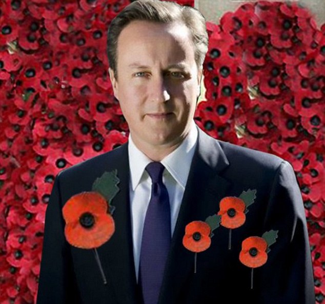 卡梅倫臉書頭像P假花被抓包 網(wǎng)友爭相惡搞玩壞罌粟花