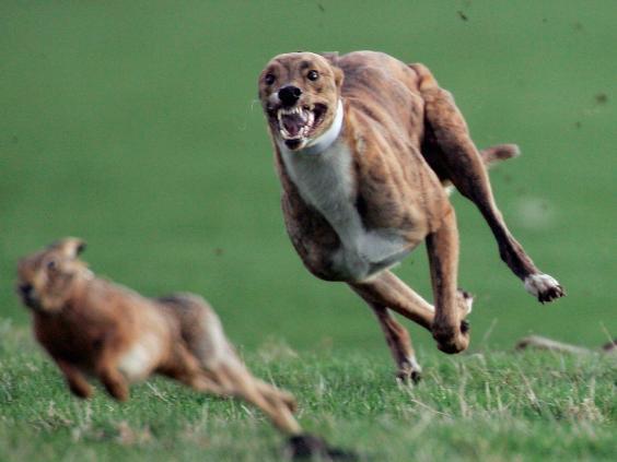 墜落、飛翔、赤身裸體、找不到廁所······心理學(xué)家解析九大常見夢(mèng)境