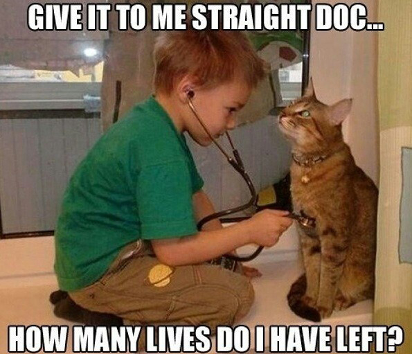 “別繞彎子、直說(shuō)”咋表達(dá)?