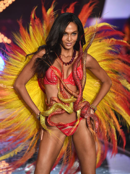 火辣2015維密內衣秀看點全揭秘（附各種bra說法）