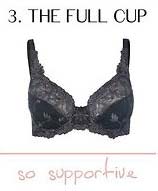 火辣2015維密內衣秀看點全揭秘（附各種bra說法）